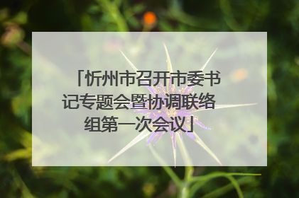 忻州市召开市委书记专题会暨协调联络组第一次会议
