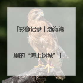 影像记录丨渤海湾里的“海上钢城”