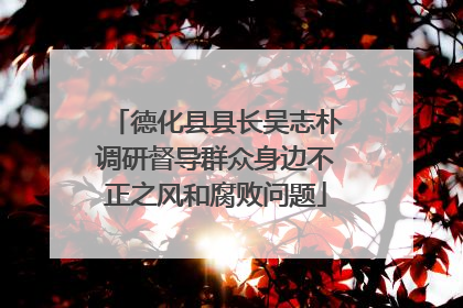 德化县县长吴志朴调研督导群众身边不正之风和腐败问题