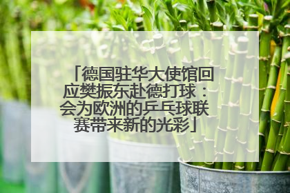 德国驻华大使馆回应樊振东赴德打球：会为欧洲的乒乓球联赛带来新的光彩