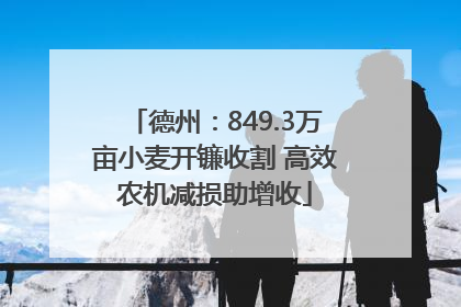 德州：849.3万亩小麦开镰收割 高效农机减损助增收