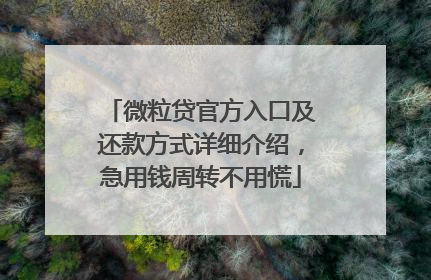 微粒贷官方入口及还款方式详细介绍，急用钱周转不用慌