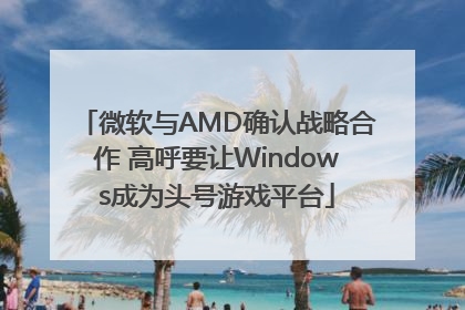 微软与AMD确认战略合作 高呼要让Windows成为头号游戏平台