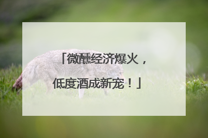 微醺经济爆火，低度酒成新宠！