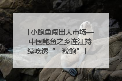 小鲍鱼闯出大市场——中国鲍鱼之乡连江持续吃透“一粒鲍”