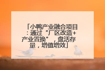 小鸭产业融合项目：通过“厂区改造+产业置换”，盘活存量，增值增效