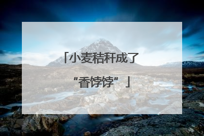 小麦秸秆成了“香饽饽”
