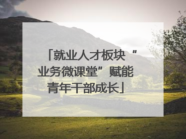 就业人才板块“业务微课堂”赋能青年干部成长