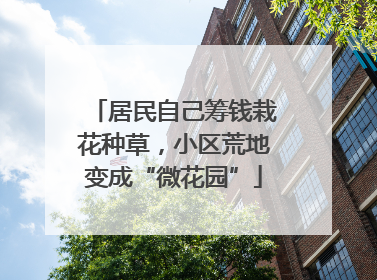 居民自己筹钱栽花种草，小区荒地变成“微花园”