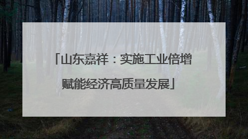山东嘉祥：实施工业倍增 赋能经济高质量发展