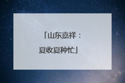 山东嘉祥：夏收夏种忙