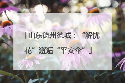 山东德州德城：“解忧花”邂逅“平安伞”
