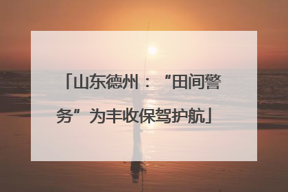 山东德州：“田间警务”为丰收保驾护航