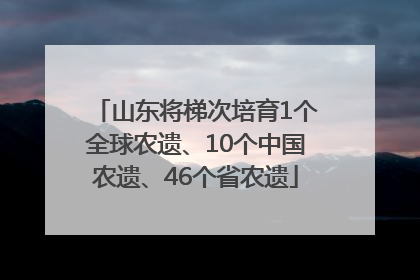山东将梯次培育1个全球农遗、10个中国农遗、46个省农遗