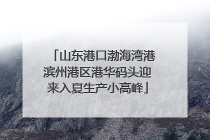 山东港口渤海湾港滨州港区港华码头迎来入夏生产小高峰