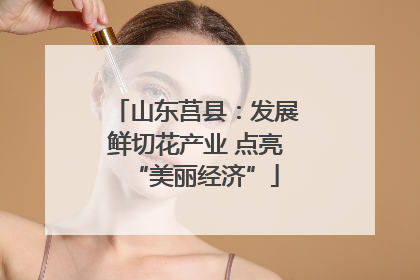 山东莒县：发展鲜切花产业 点亮“美丽经济”
