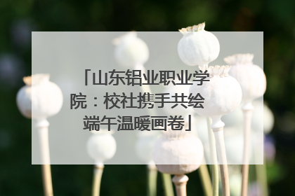 山东铝业职业学院：校社携手共绘端午温暖画卷