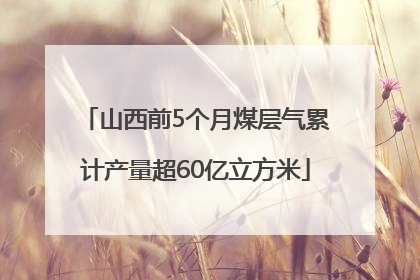 山西前5个月煤层气累计产量超60亿立方米