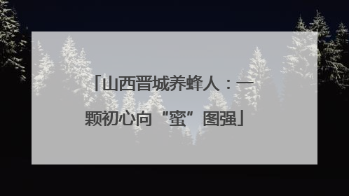 山西晋城养蜂人：一颗初心向“蜜”图强