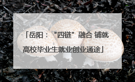 岳阳：“四链”融合 铺就高校毕业生就业创业通途