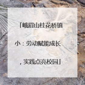 峨眉山桂花桥镇小：劳动赋能成长，实践点亮校园