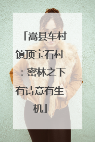 嵩县车村镇顶宝石村：密林之下有诗意有生机