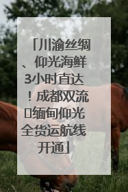 川渝丝绸、仰光海鲜3小时直达！成都双流⇌缅甸仰光全货运航线开通