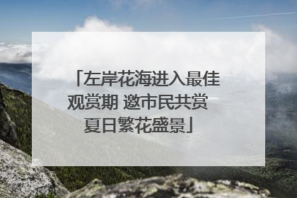 左岸花海进入最佳观赏期 邀市民共赏夏日繁花盛景