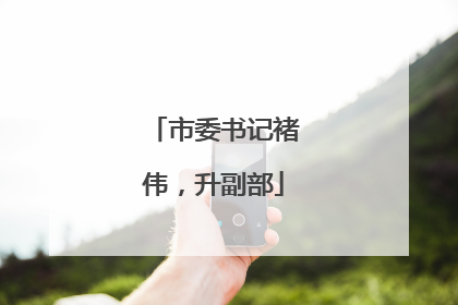 市委书记褚伟，升副部