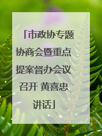 市政协专题协商会暨重点提案督办会议召开 黄喜忠讲话