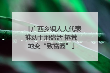 广西乡镇人大代表推动土地盘活 撂荒地变“致富园”
