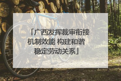 广西发挥裁审衔接机制效能 构建和谐稳定劳动关系