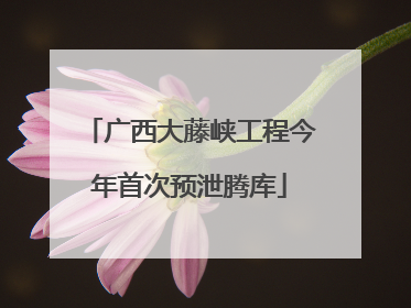 广西大藤峡工程今年首次预泄腾库