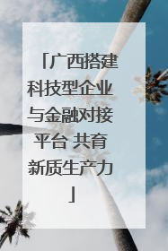 广西搭建科技型企业与金融对接平台 共育新质生产力