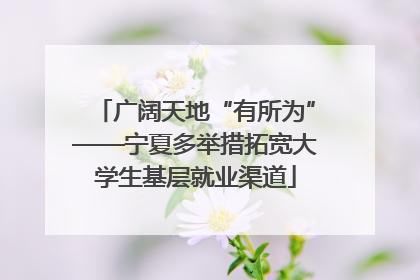 广阔天地“有所为”——宁夏多举措拓宽大学生基层就业渠道