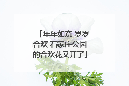 年年如意 岁岁合欢 石家庄公园的合欢花又开了