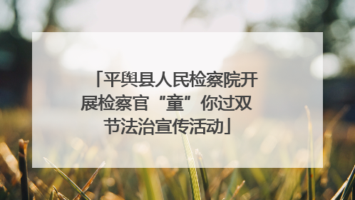 平舆县人民检察院开展检察官“童”你过双节法治宣传活动