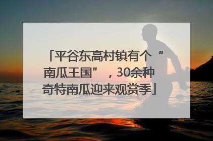 平谷东高村镇有个“南瓜王国”，30余种奇特南瓜迎来观赏季