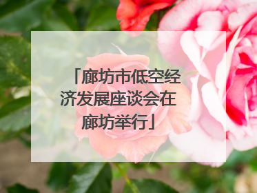 廊坊市低空经济发展座谈会在廊坊举行