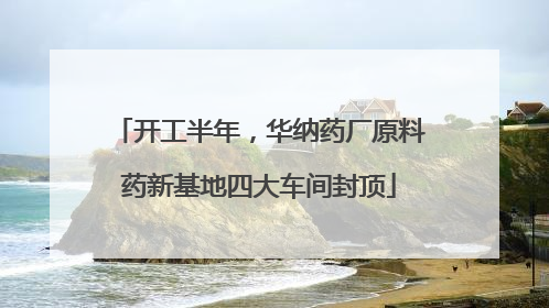 开工半年，华纳药厂原料药新基地四大车间封顶