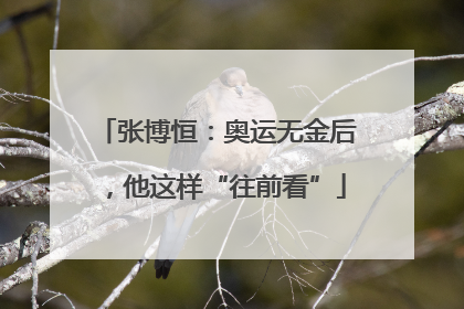 张博恒：奥运无金后，他这样“往前看”
