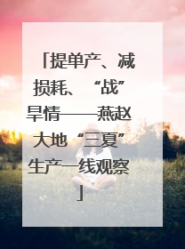 提单产、减损耗、“战”旱情——燕赵大地“三夏”生产一线观察