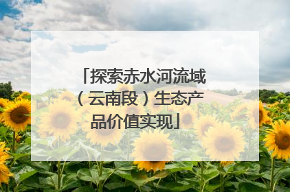 探索赤水河流域（云南段）生态产品价值实现