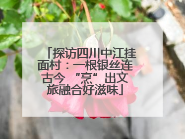 探访四川中江挂面村：一根银丝连古今 “烹”出文旅融合好滋味
