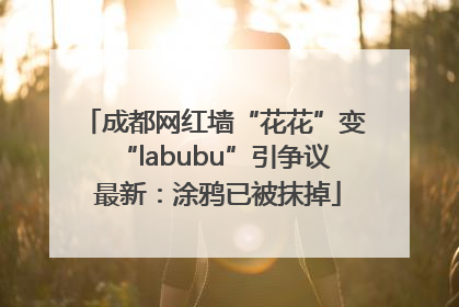 成都网红墙“花花”变“labubu”引争议 最新：涂鸦已被抹掉