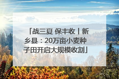 战三夏 保丰收丨新乡县：20万亩小麦种子田开启大规模收割