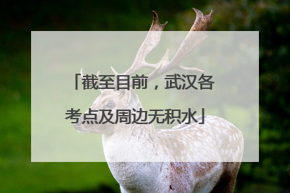 截至目前，武汉各考点及周边无积水