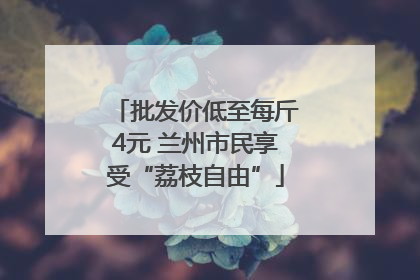批发价低至每斤4元 兰州市民享受“荔枝自由”