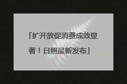 扩开放促消费成效显著！日照最新发布