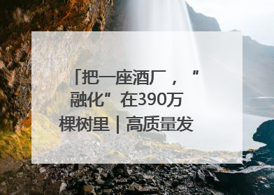 把一座酒厂，“融化”在390万棵树里｜高质量发展看川酒｜舍得酒｜舍得酒业｜舍得老酒｜沱牌酒